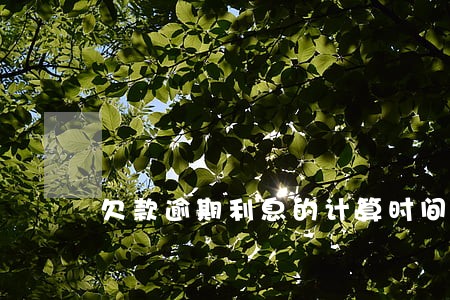 欠款逾期利息的计算时间 欠款逾期利息的计算时间