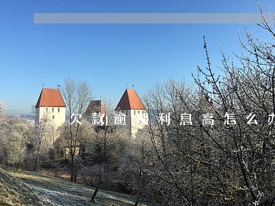 欠款逾期利息高怎么办 欠款逾期利息高怎么办