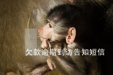欠款逾期到访告知短信 欠款逾期到访告知短信