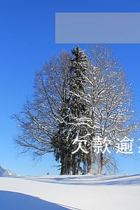 欠款逾期前往所在的户籍核实 欠款逾期前往所在的户籍核实