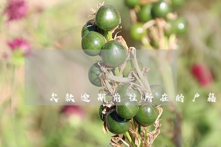 欠款逾期前往所在的户籍核实情况 欠款逾期前往所在的户籍核实情况