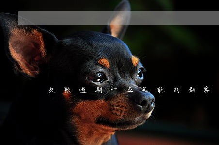 欠款逾期十五天就找到家里 欠款逾期十五天就找到家里
