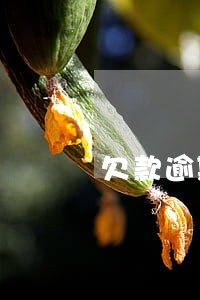 欠款逾期半小时后上门 欠款逾期半小时后上门