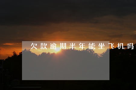 欠款逾期半年能坐飞机吗 欠款逾期半年能坐飞机吗