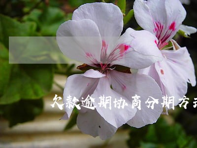 欠款逾期协商分期方式 欠款逾期协商分期方式