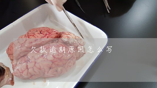 欠款逾期原因怎么写 欠款逾期原因怎么写