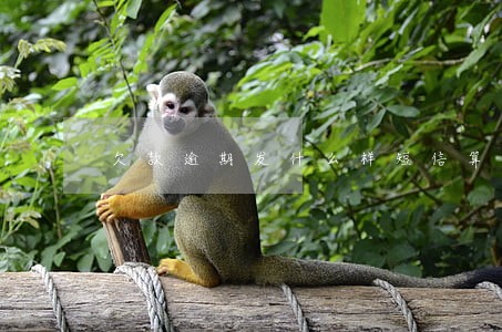 欠款逾期发什么样短信算威胁