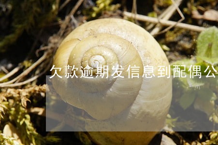 欠款逾期发信息到配偶公司调查 欠款逾期发信息到配偶公司调查