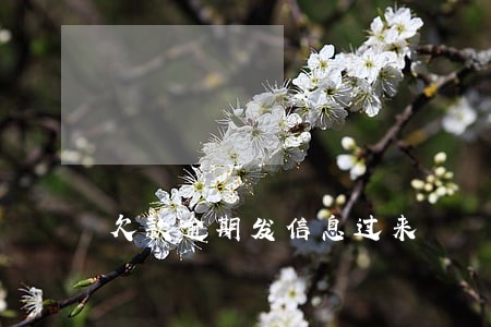 欠款逾期发信息过来 欠款逾期发信息过来