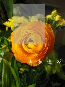 欠款逾期发快递