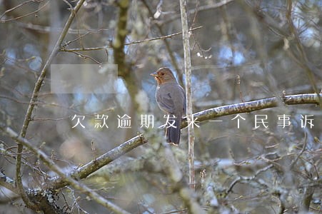 欠款逾期发来一个民事诉讼状 欠款逾期发来一个民事诉讼状