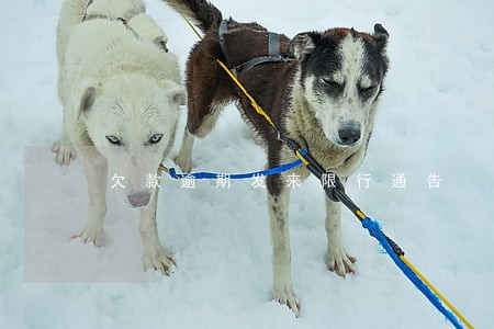 欠款逾期发来限行通告