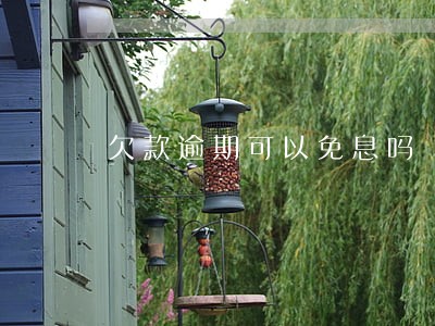 欠款逾期可以免息吗 欠款逾期可以免息吗
