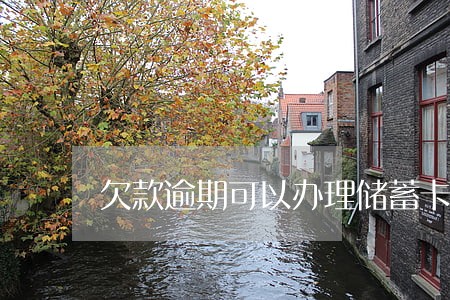 欠款逾期可以办理储蓄卡吗 欠款逾期可以办理储蓄卡吗