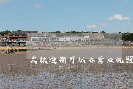 欠款逾期可以办营业执照嘛