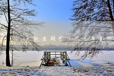 欠款逾期可以只还本金吗 欠款逾期可以只还本金吗