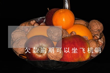 欠款逾期可以坐飞机吗 欠款逾期可以坐飞机吗