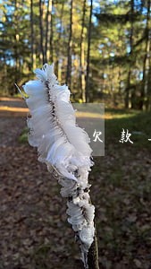 欠款逾期可以报警自首吗 欠款逾期可以报警自首吗