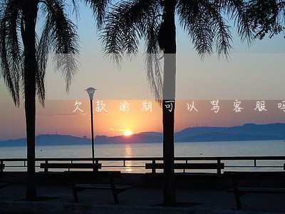 欠款逾期可以骂客服吗
