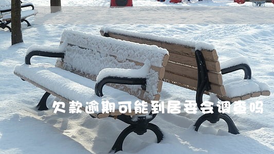 欠款逾期可能到居委会调查吗
