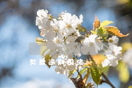 欠款逾期司法