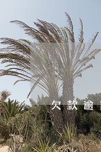 欠款逾期司法程序