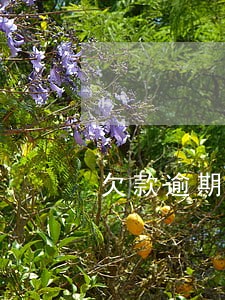 欠款逾期合法利息多少