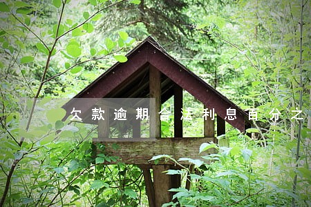 欠款逾期合法利息百分之几