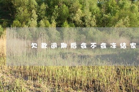 欠款逾期后会不会冻结家人财产 欠款逾期后会不会冻结家人财产
