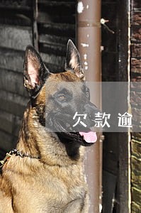 欠款逾期后会向通讯录 欠款逾期后会向通讯录