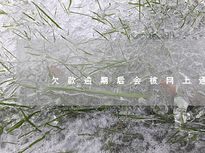 欠款逾期后会被网上通缉吗 欠款逾期后会被网上通缉吗