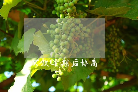 欠款逾期后协商 欠款逾期后协商