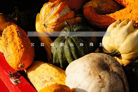 欠款逾期后协商怎么办 欠款逾期后协商怎么办