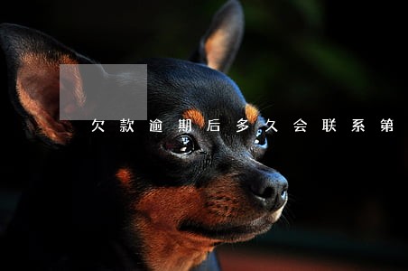 欠款逾期后多久会联系第三方 欠款逾期后多久会联系第三方