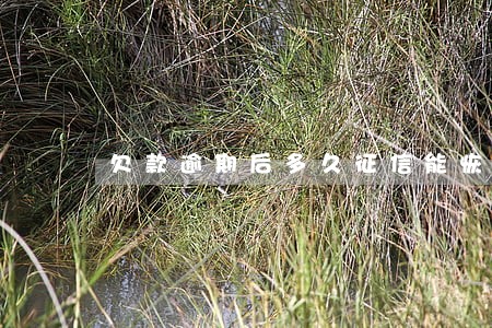 欠款逾期后多久征信能恢复 欠款逾期后多久征信能恢复