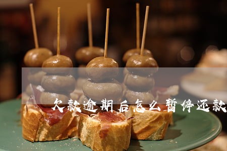 欠款逾期后怎么暂停还款 欠款逾期后怎么暂停还款