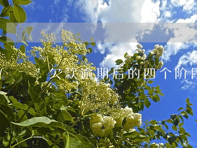 欠款逾期后的四个阶段哪个最危险 欠款逾期后的四个阶段哪个最危险