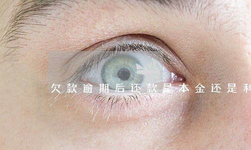 欠款逾期后还款是本金还是利息