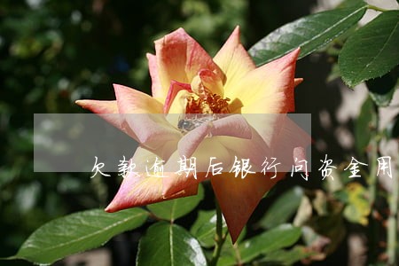 欠款逾期后银行问资金用途
