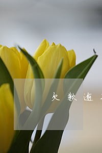 欠款逾期向户籍地发备案文书