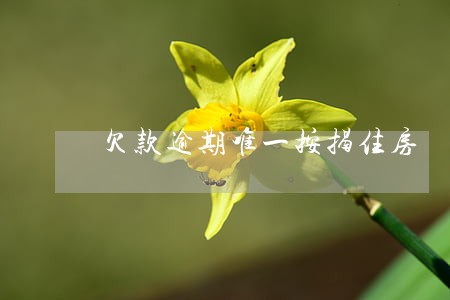 欠款逾期唯一按揭住房 欠款逾期唯一按揭住房