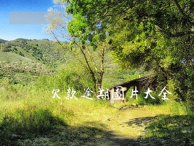 欠款逾期图片大全
