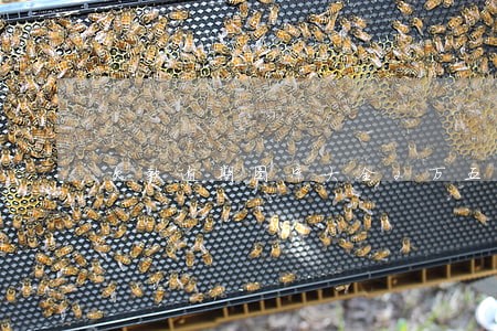 欠款逾期图片大全2万五