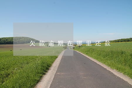 欠款逾期在哪里还款 欠款逾期在哪里还款