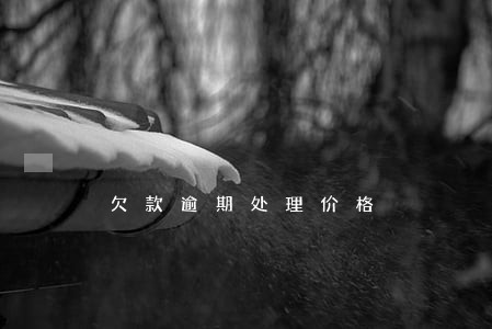 欠款逾期处理价格 欠款逾期处理价格
