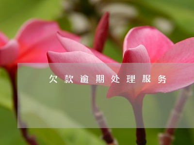 欠款逾期处理服务 欠款逾期处理服务