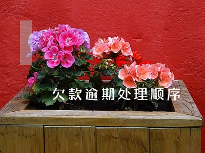 欠款逾期处理顺序 欠款逾期处理顺序