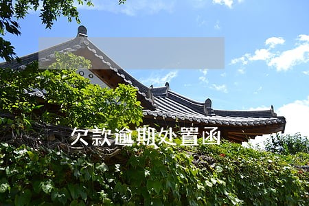 欠款逾期处置函 欠款逾期处置函