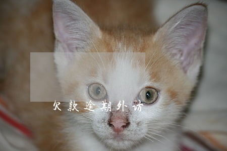 欠款逾期外访 欠款逾期外访
