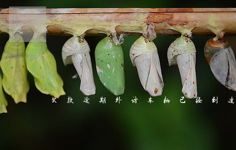 欠款逾期外访车辆已经到达 欠款逾期外访车辆已经到达